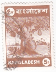 Stamps Asia - Bangladesh -  Arbol Frutal