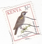 Stamps : Africa : Kenya :  Indicator indicator