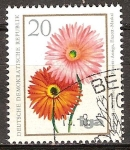 Stamps Germany -  iga - la cría flor(Gerbera, Gerbera jamesonii)DDR.