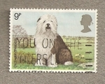 Sellos de Europa - Reino Unido -  Perro guardián ovejas