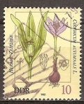 Stamps Germany -   Las plantas venenosas(Autumn crocus, Colchicum autumnale L.)DDR.