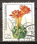 Stamps Germany -  Cactáceas cultivadas. Submatucana madisoniorum-DDR.