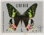 Sellos de Africa - Liberia -  30 Chrysiridia Madagascariensis