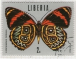 Stamps : Africa : Liberia :  31 Catagramma Sorana