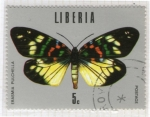 Stamps Liberia -  32 Erasmia Pulchella