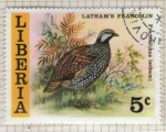 Stamps Liberia -  38 Perdiz