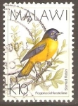 Stamps : Africa : Malawi :  STARRED  ROBIN