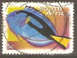 Stamps South Africa -  PALETTE  SURGEONFISH