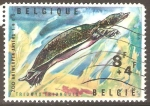 Stamps Belgium -  TORTUGA