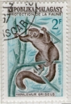 Stamps Madagascar -  5 Hapalemur Griseus