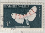 Stamps Madagascar -  7 Chionaema Pauliani