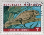 Stamps Madagascar -  13 Cameleon Campani
