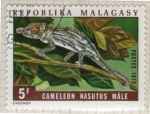 Stamps Madagascar -  14  Cameleon Nasutus Male
