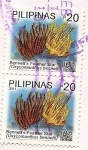 Stamps Philippines -  Bennett´s Feather Star