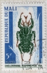 Stamps Mali -  4 Chelorrhina Polyphemus