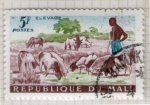 Sellos de Africa - Mali -  12 Ganaderia