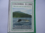 Stamps Colombia -  Departamento del Cauca - Ballena Yubarta-Magaptera Novaeangliae-(12/12)