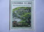 Stamps Colombia -  Departamento del Cauca - Samán Samanea saman -(4/12)