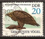 Sellos de Europa - Alemania -  Aves Protegidas- Águila marina DDR.