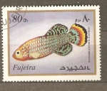 Stamps United Arab Emirates -  FUJEIRA