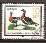 Sellos de Europa - Alemania -  Animales en peligro de extinción( Ganso de pecho rojo)DDR. 
