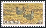 Stamps Canada -  TYMPANUCHUS CUPIDO