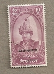 Stamps Nepal -  Rey