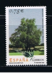 Stamps Spain -  Edifil  4149  Arboles monumentales.  
