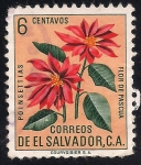 Stamps : America : El_Salvador :  FLOR DE PASCUA.