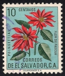 Stamps : America : El_Salvador :  FLOR DE PASCUA.