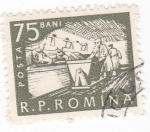 Stamps Romania -  Ganadería vacuna