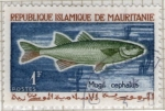 Sellos de Africa - Mauritania -  9  Mugil cephalus