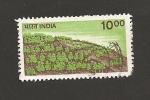 Sellos de Asia - India -  Plantación árboles
