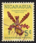 Stamps : America : Nicaragua :  SCHOMBURGKIA TIBICINUS,
