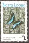 Stamps Africa - Sierra Leone -  MARIPOSA  AZUL  CON  BANDA  ANCHA