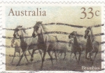 Stamps : Oceania : Australia :  Caballos salvajes-Brumbies