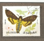 Stamps : Asia : United_Arab_Emirates :  INSECTO