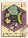 Stamps Bulgaria -  TILIA PARVIFOLIA