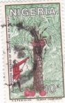 Stamps Nigeria -  recolector de fruta