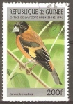 Stamps : Africa : Guinea :  CARDUELIS  CUCULLATA