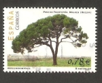Stamps Spain -  4316 - Árbol monumental,  pino de Fuentepiña