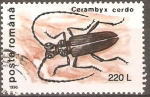 Stamps : Europe : Romania :  CERAMBYX  CERDO