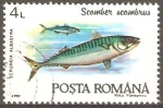 Stamps : Europe : Romania :  SCOMBER  SCOMBRUS
