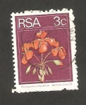 Stamps South Africa -  361 - Flor pelargonium inquinans