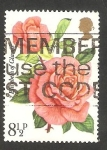 Stamps United Kingdom -  795 - Rosa Elizabeth de Glamis