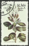 Stamps Oman -  Flores, flora