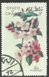 Stamps Asia - Oman -  Flores, flora