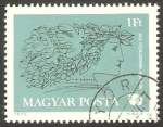 Stamps Hungary -  2422 - Año internacional de la mujer