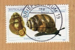 Stamps : Europe : Germany :  Scott 2166. Caracol de espiral