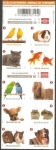 Stamps Belgium -  4209 a 4218 - Animales de compañía